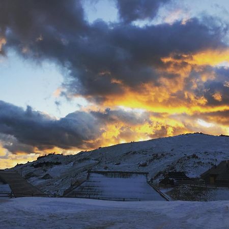 Chalet Gasparjeva Velika Planina Kamnik Dış mekan fotoğraf