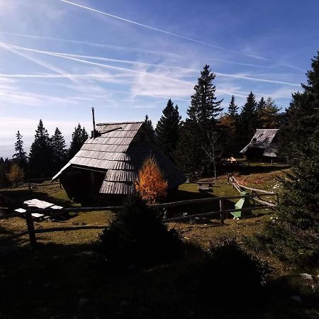 Chalet Gasparjeva Velika Planina Villa Kamnik Dış mekan fotoğraf