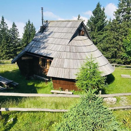 Chalet Gasparjeva Velika Planina Villa Kamnik Dış mekan fotoğraf